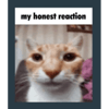 tray_icon #84306 sticker_pack