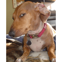 sticker image #10