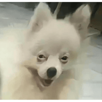 sticker image #15