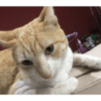 sticker image #25