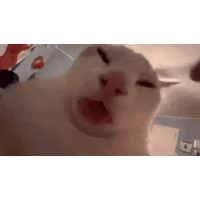 sticker image #10