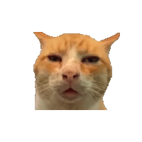 sticker image #11