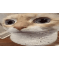 sticker image #18