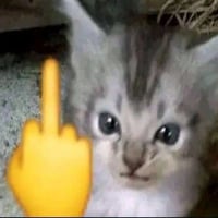 sticker image #17