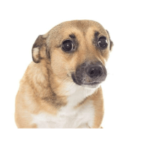sticker image #18