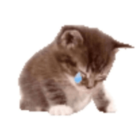sticker image #6