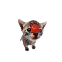 sticker image #8