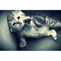 sticker image #9