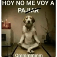 sticker image #30