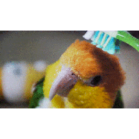 sticker image #10