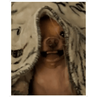 sticker image #6