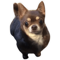 sticker image #7