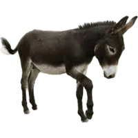 sticker image #2