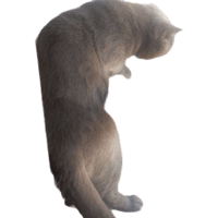 sticker image #3