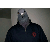 sticker image #1