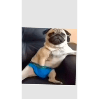 sticker image #17