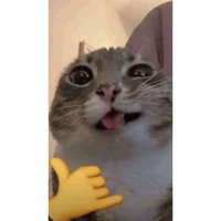 sticker image #27