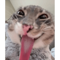 sticker image #8