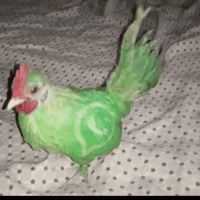 sticker image #24
