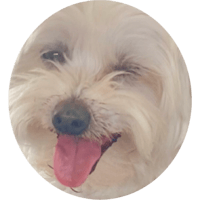 sticker image #1