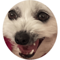 sticker image #10