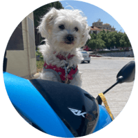 sticker image #11