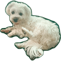 sticker image #12