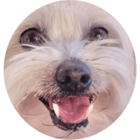 sticker image #3