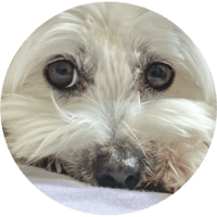 sticker image #4