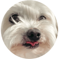 sticker image #5