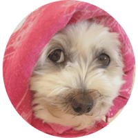 sticker image #6