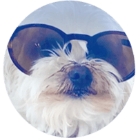 sticker image #7