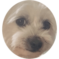 sticker image #8