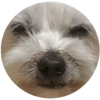 sticker image #9