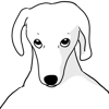 tray_icon #118023 sticker_pack