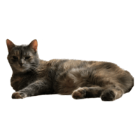 sticker image #17