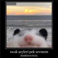 sticker image #1
