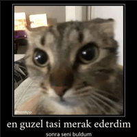 sticker image #11