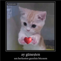 sticker image #12