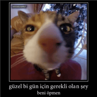 sticker image #15