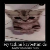 sticker image #16