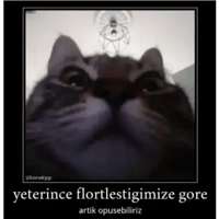 sticker image #18