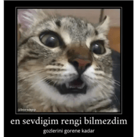 sticker image #19