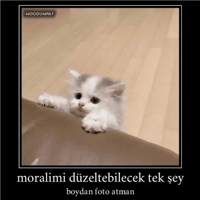 sticker image #2