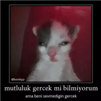 sticker image #21