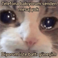sticker image #22