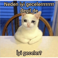 sticker image #23