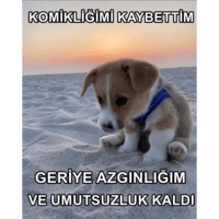 sticker image #24