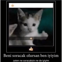 sticker image #25