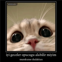 sticker image #7